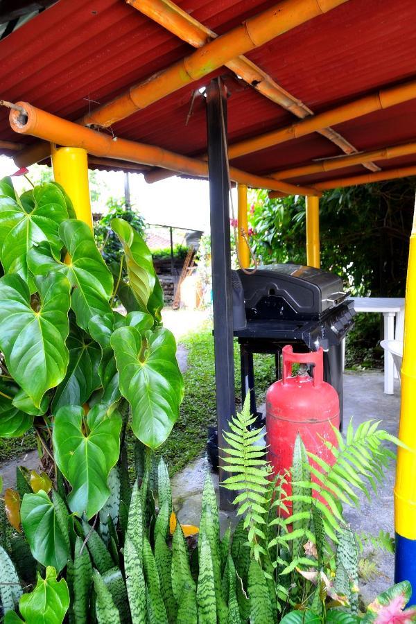Casa Finca Villa Luz A 800 Mts Del Parque Del Cafe Montenegro Exterior foto